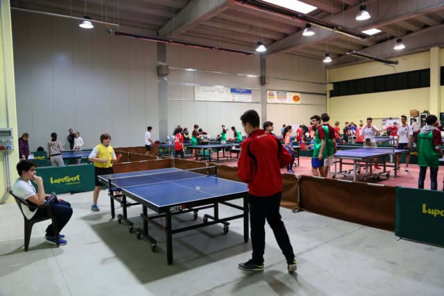 dmk6252.jpg